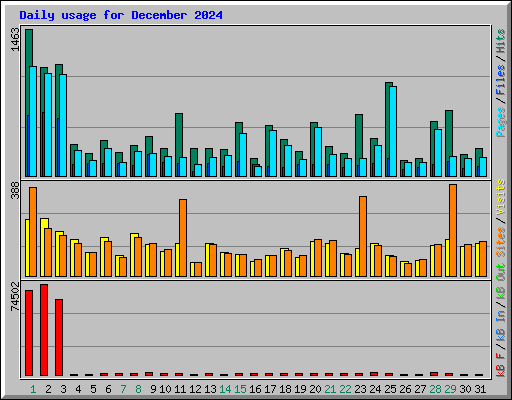 Daily usage for December 2024