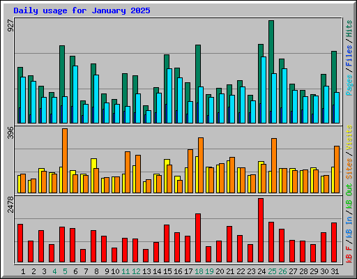 Daily usage for January 2025