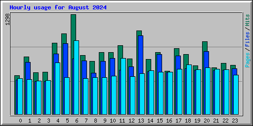 Hourly usage for August 2024