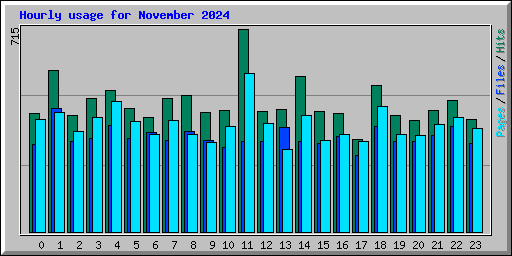 Hourly usage for November 2024