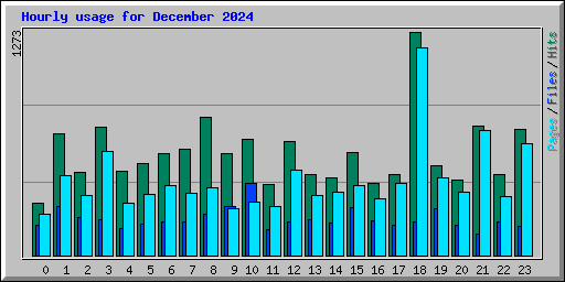 Hourly usage for December 2024