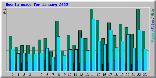 Hourly usage for January 2025