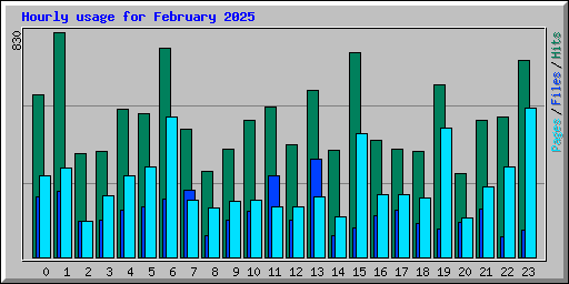 Hourly usage for February 2025