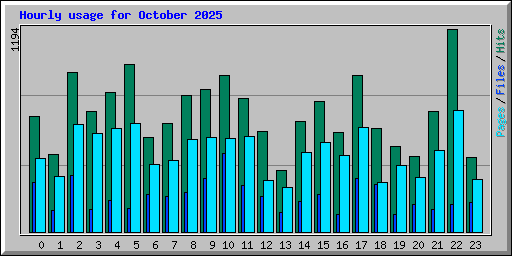 Hourly usage for October 2025