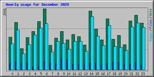 Hourly usage for December 2025