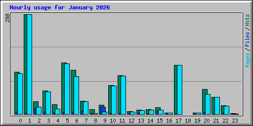 Hourly usage for January 2026
