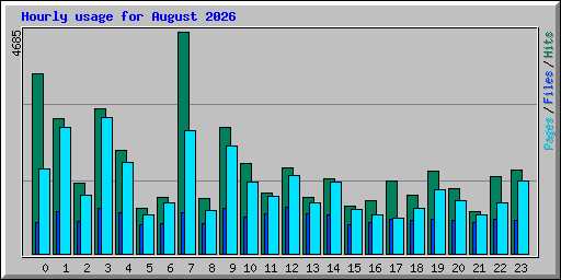 Hourly usage for August 2026