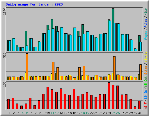 Daily usage for January 2025