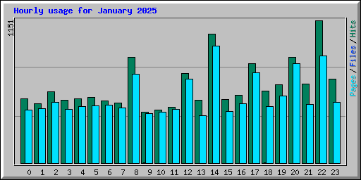 Hourly usage for January 2025