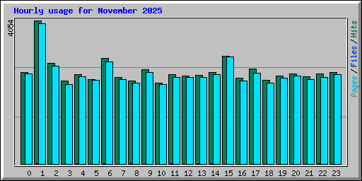 Hourly usage for November 2025