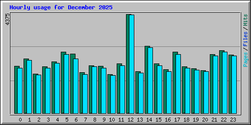 Hourly usage for December 2025