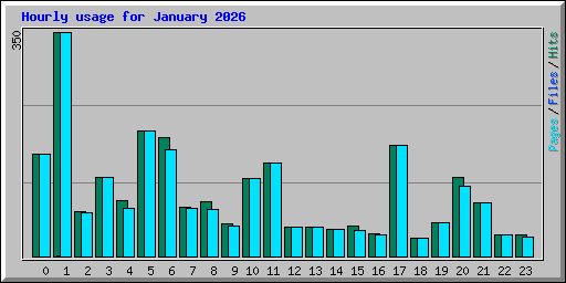Hourly usage for January 2026